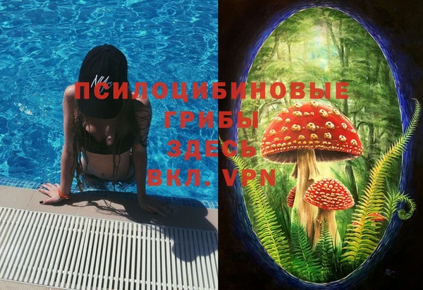 амфетамин Белокуриха