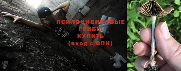 таблы Богданович