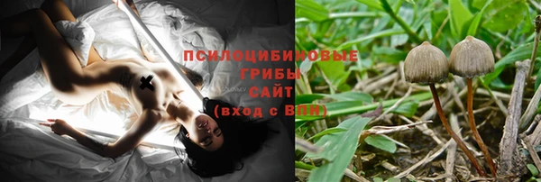амфетамин Белокуриха